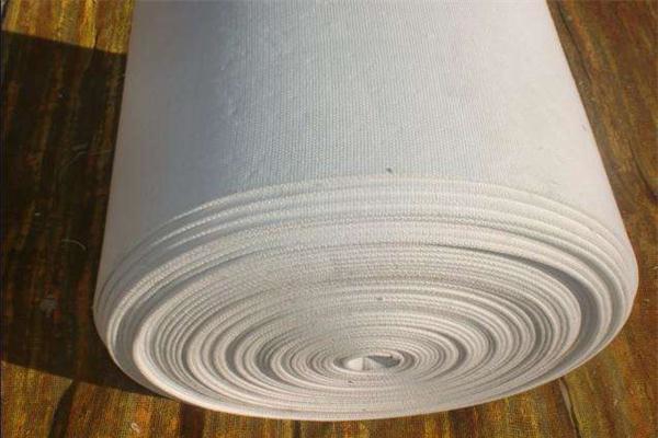 必須對電子皮帶秤進行日常維護